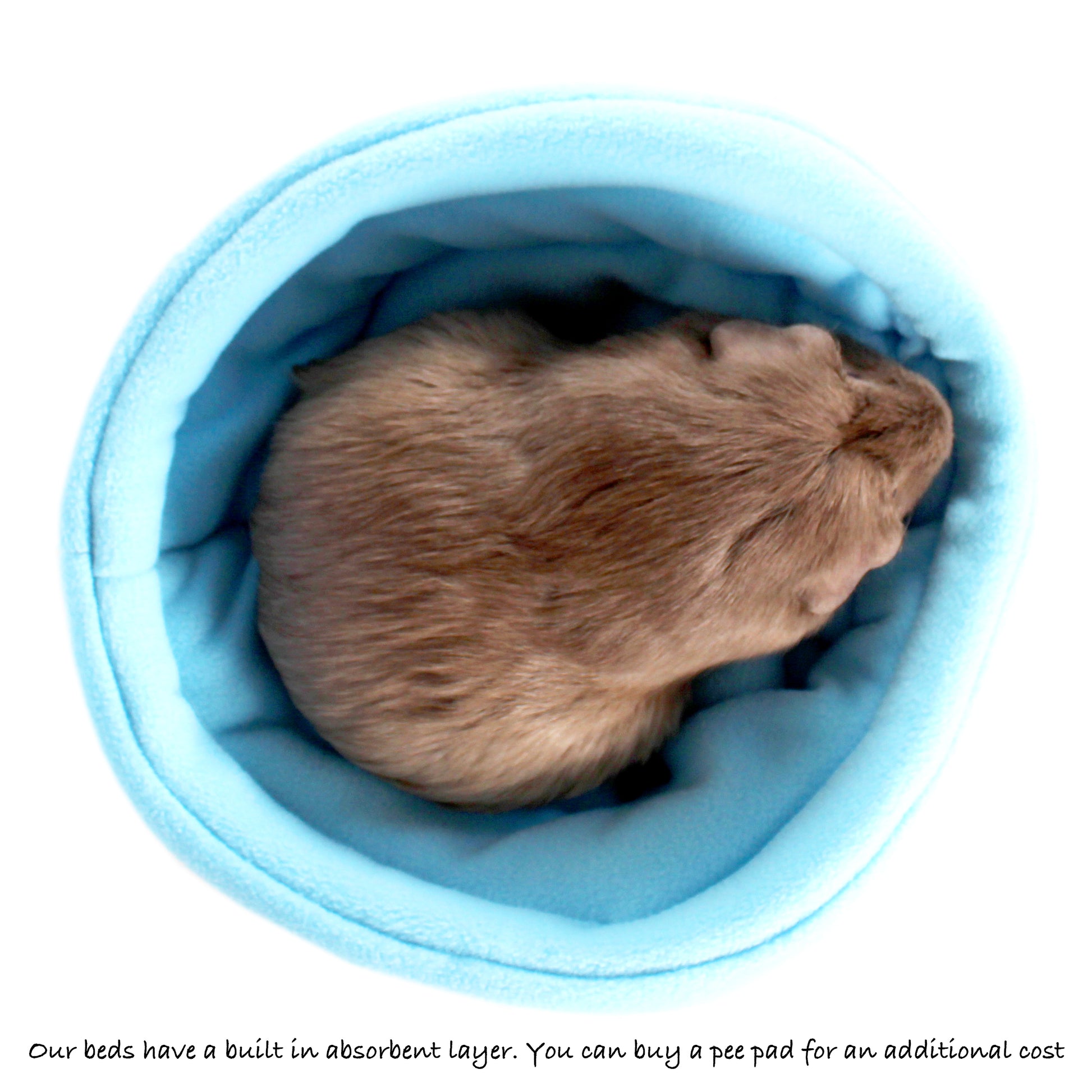 Baby Blue Guinea Pig Bed, top view with guinea pig