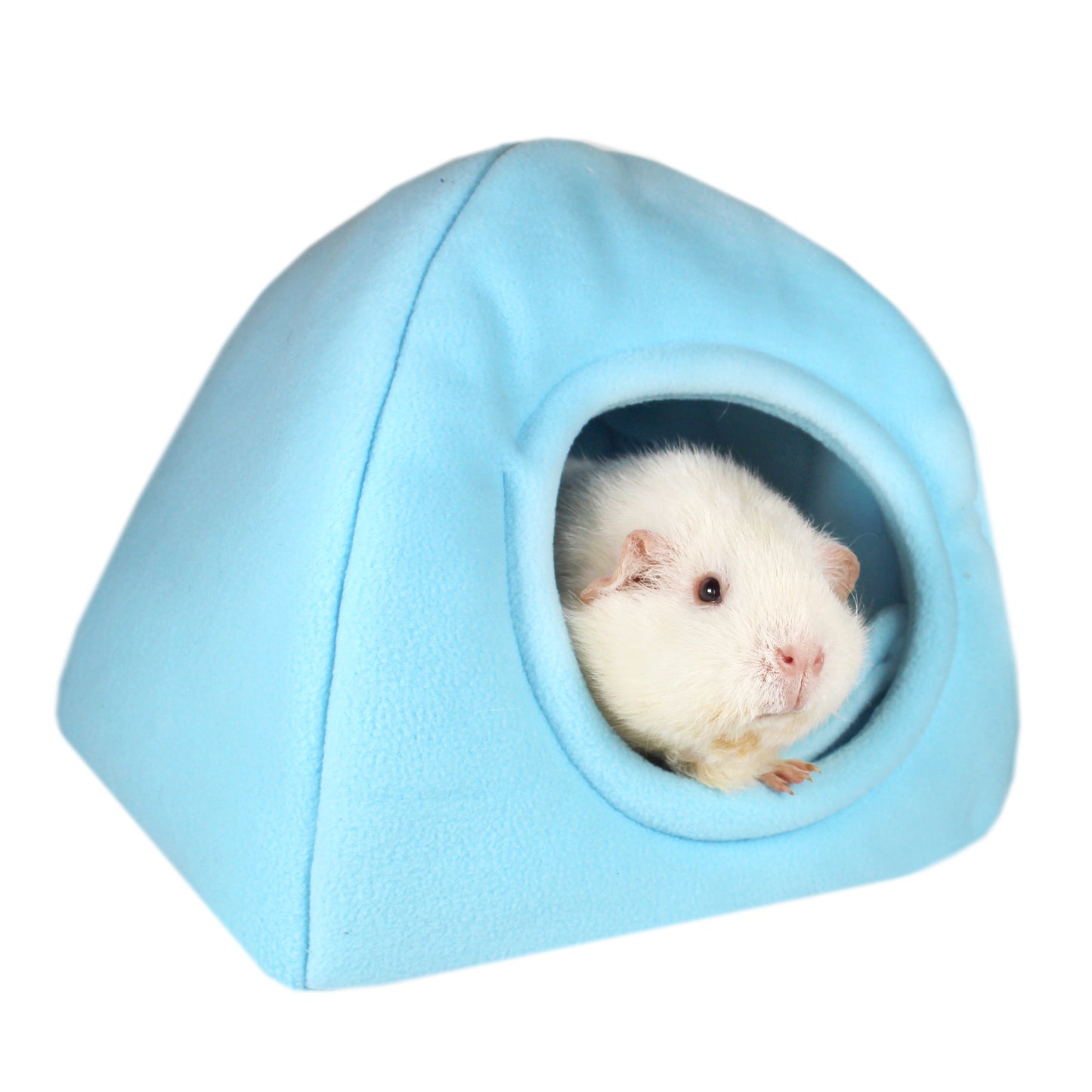 Baby Blue Guinea Pig Accessory Bundle