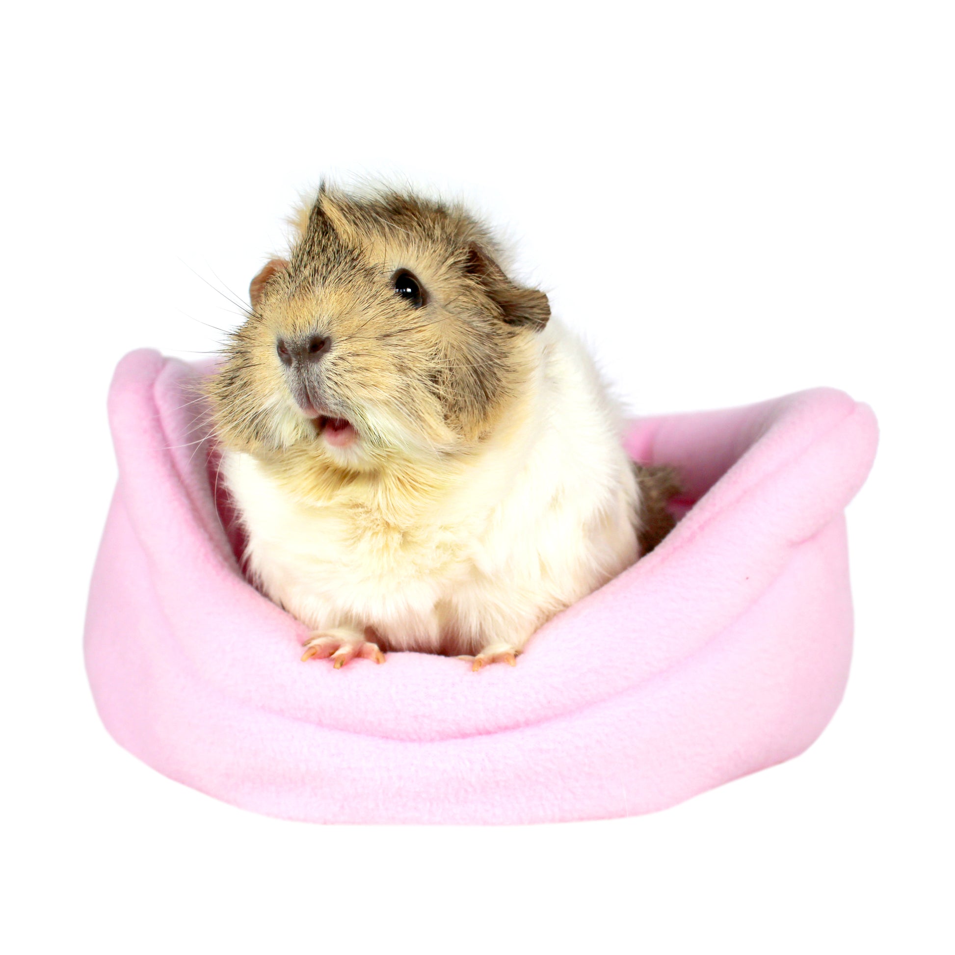 Baby Pink Guinea Pig Bed, front view with guinea pig inside
