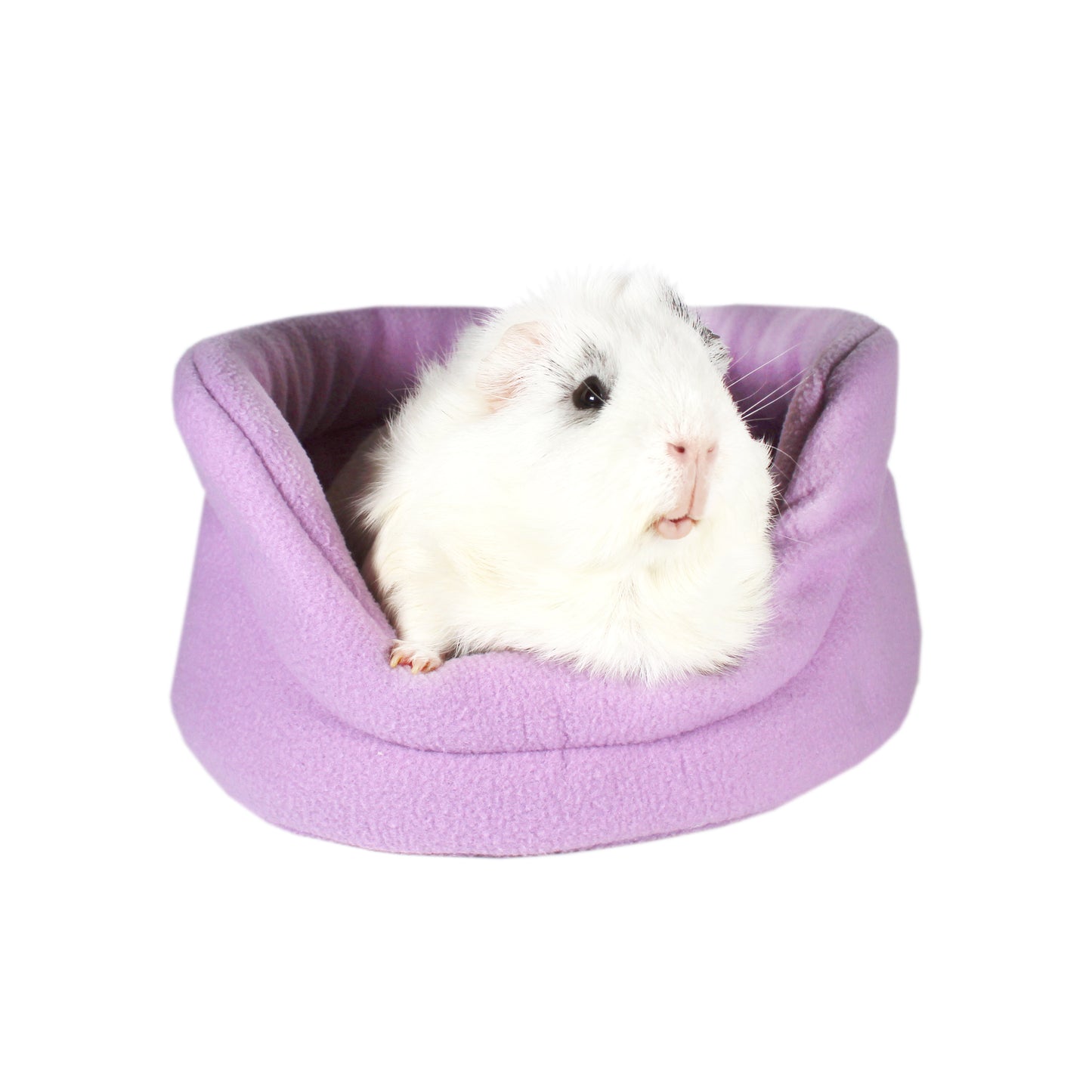 Lilic Guinea Pig Cuddle Cup Bed, front view of the bed for guinea pigs with a happy guinea pig inside