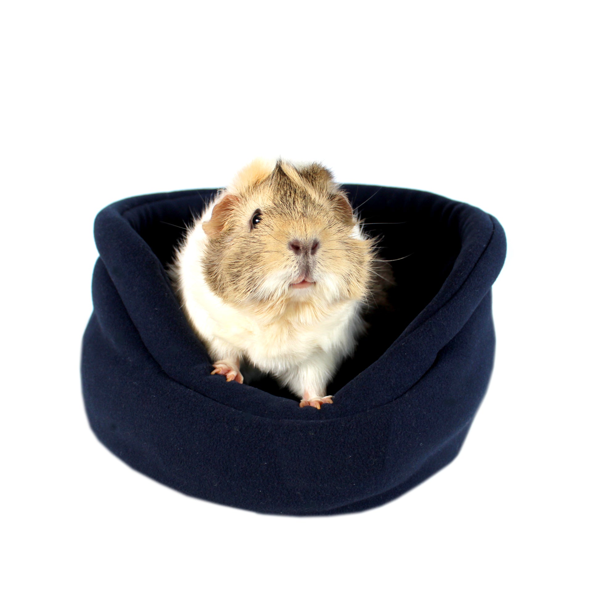 Navy Blue Fleece Guinea Pig Bed, front view with guinea pig