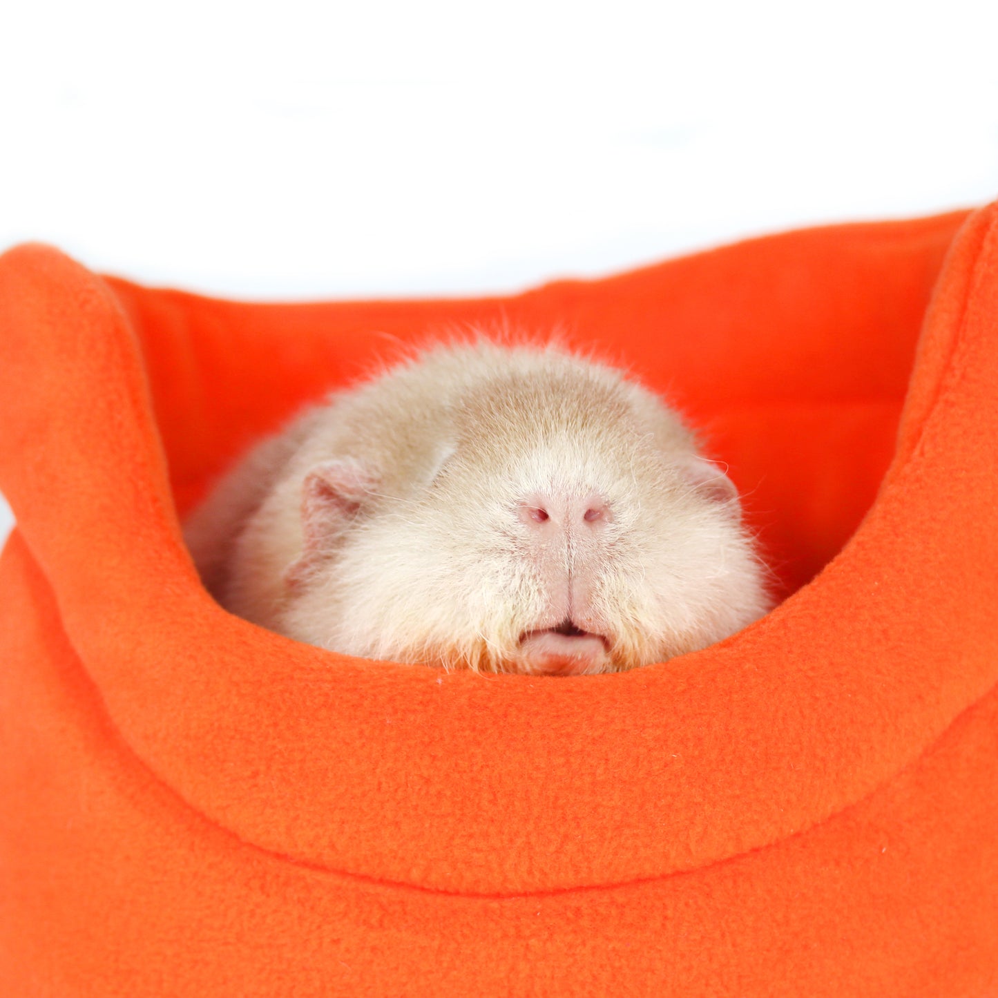 Orange Cuddle Cup Bed, close up view with a cosy guinea pig inside the bed