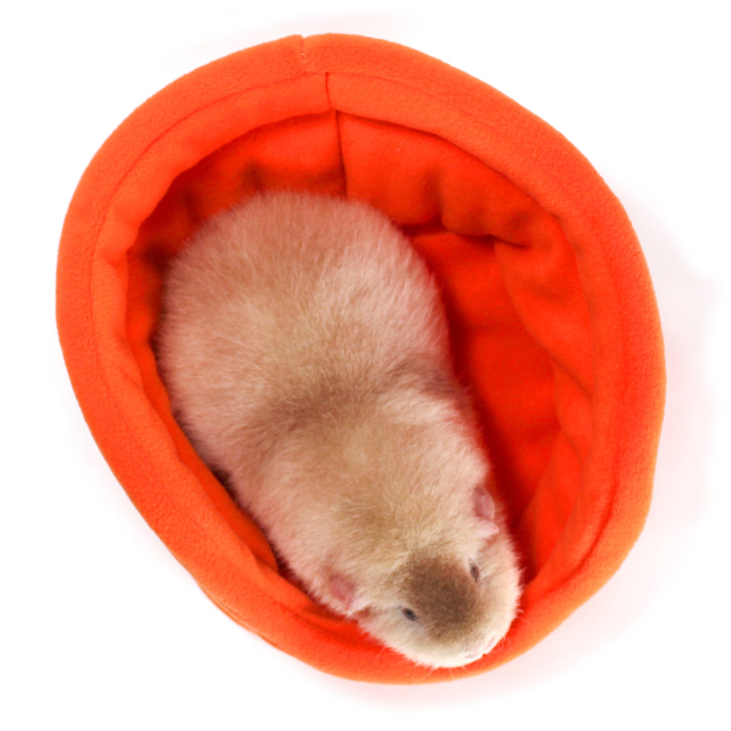 Orange Cuddle Cup Bed, top view of the guinea pig bed with a guinea pig inside for sizing