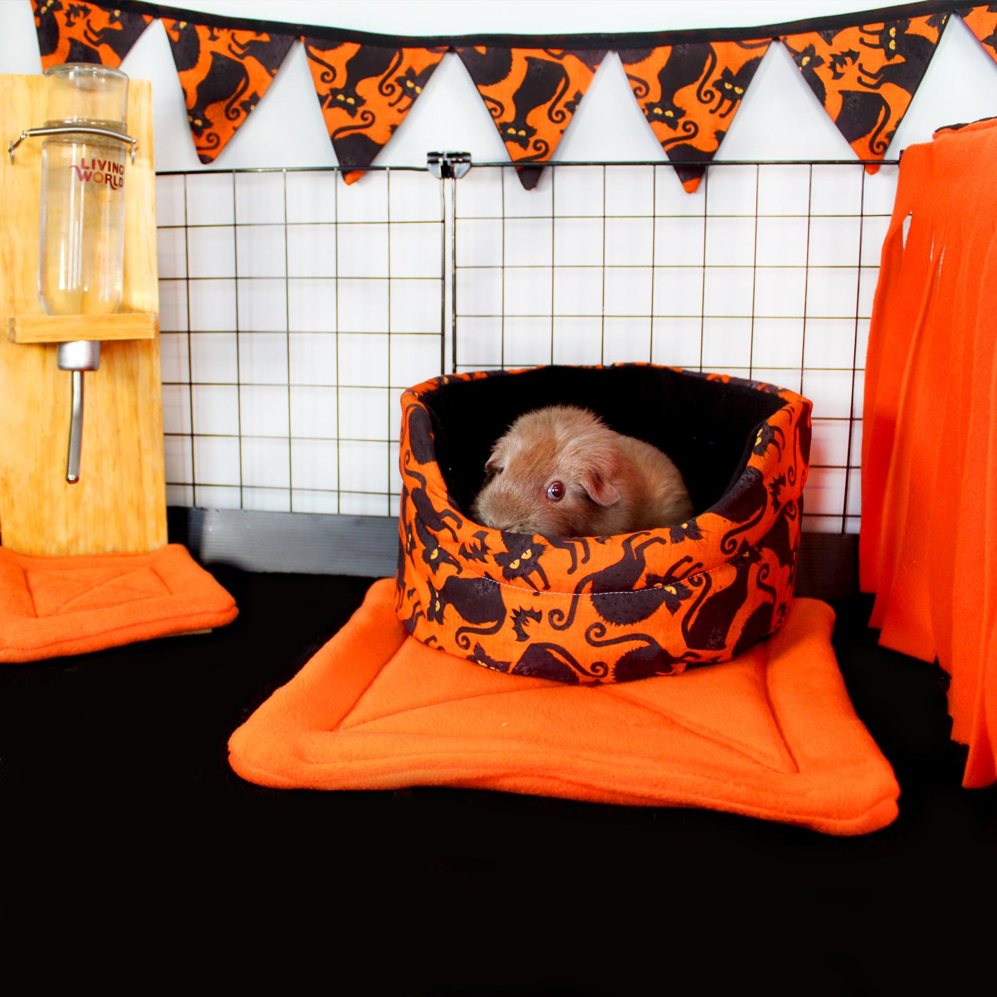 Large Black Cat Orange Bunting
