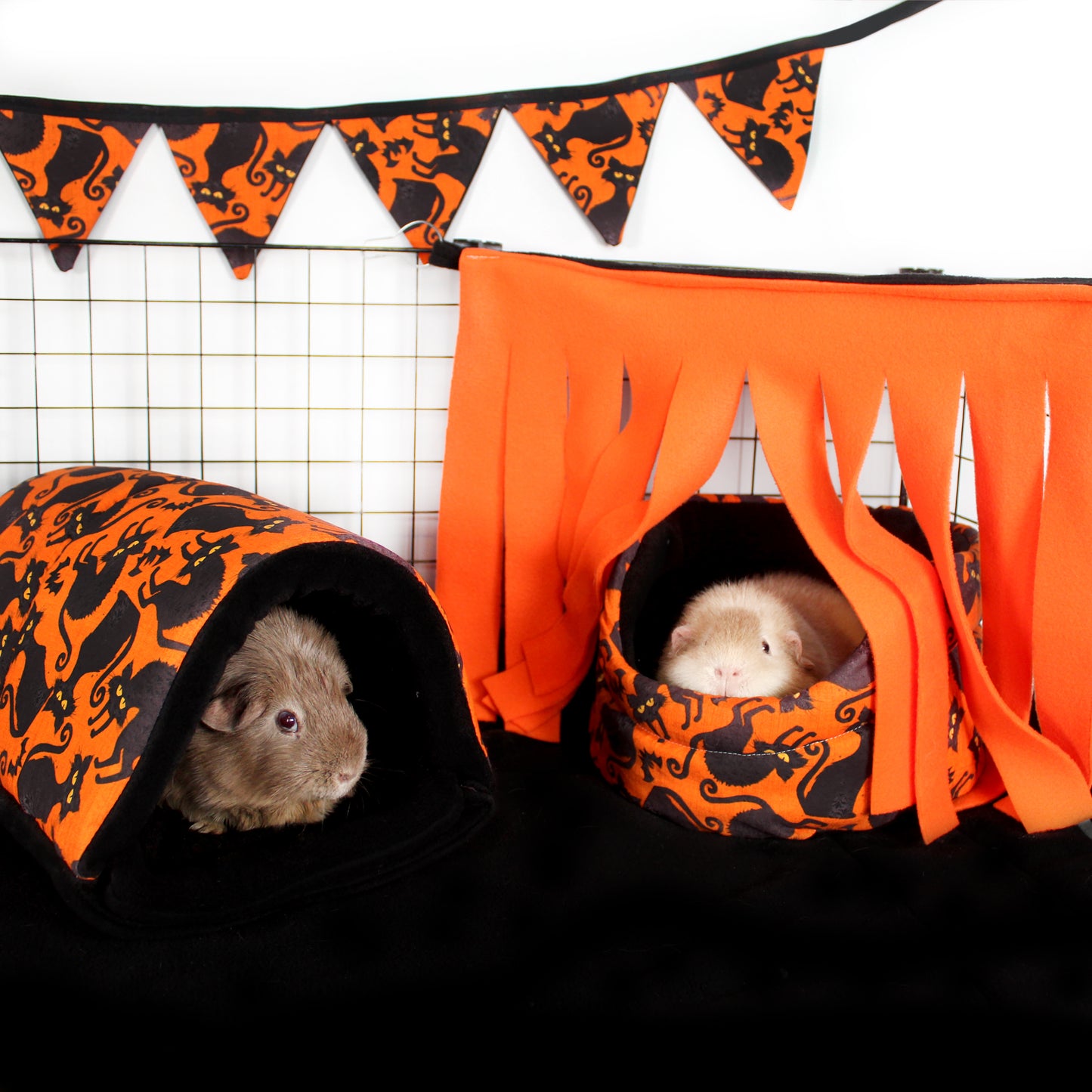 Black Cat Halloween Squish Tunnel, showing a cage set up with the snuggle tunnels and a cuddle cup bed with guinea pigs enjoying them