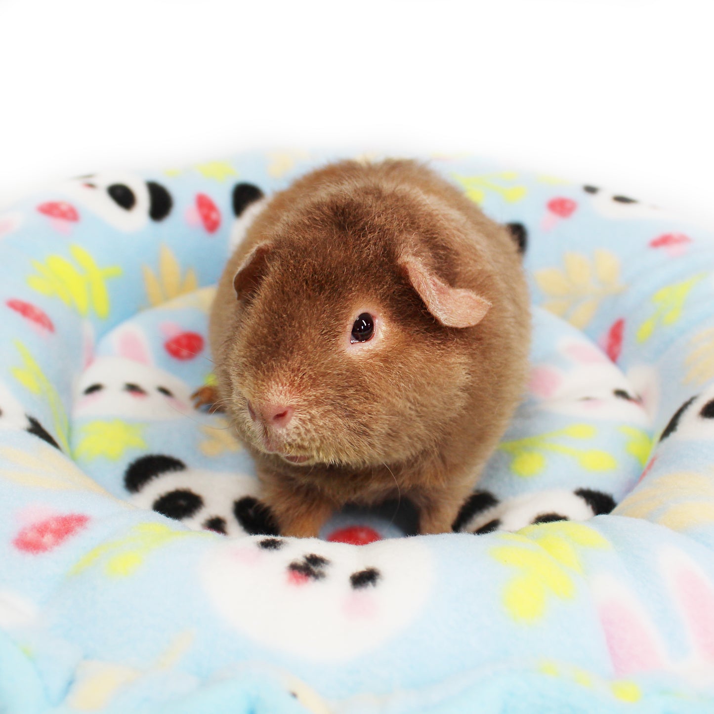 Blue Panda & Rabbit Doughnut Bed
