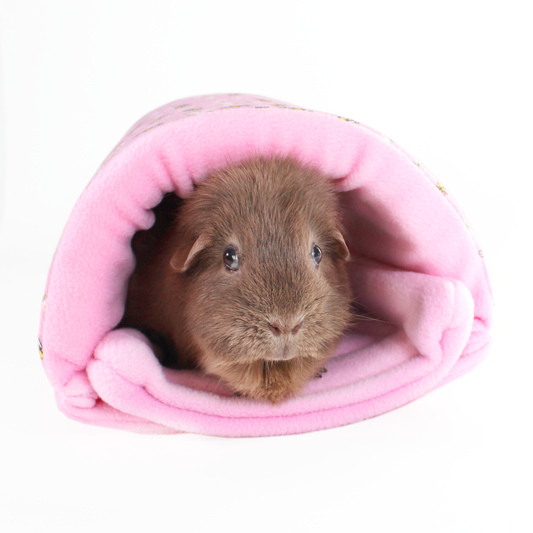 Pink Bee Squish Tunnel