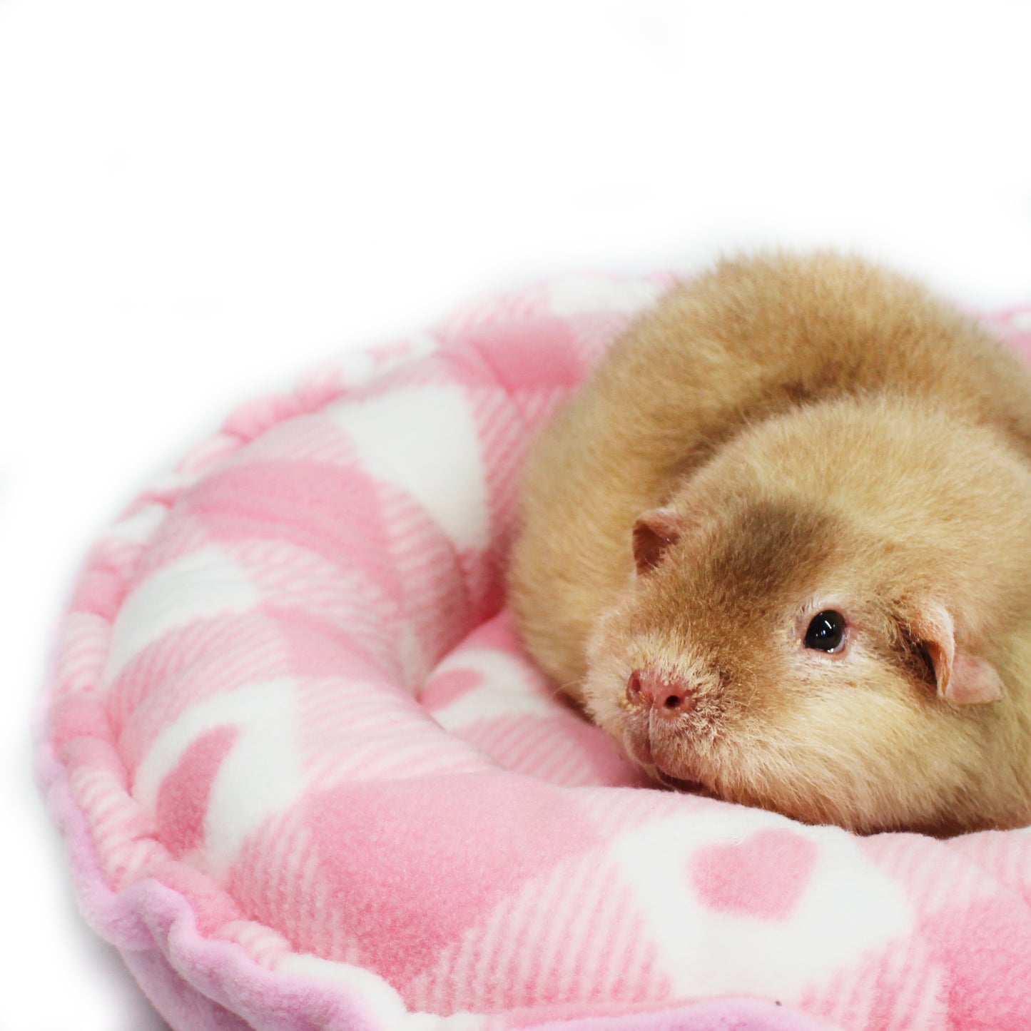 Pink Heart Doughnut Bed