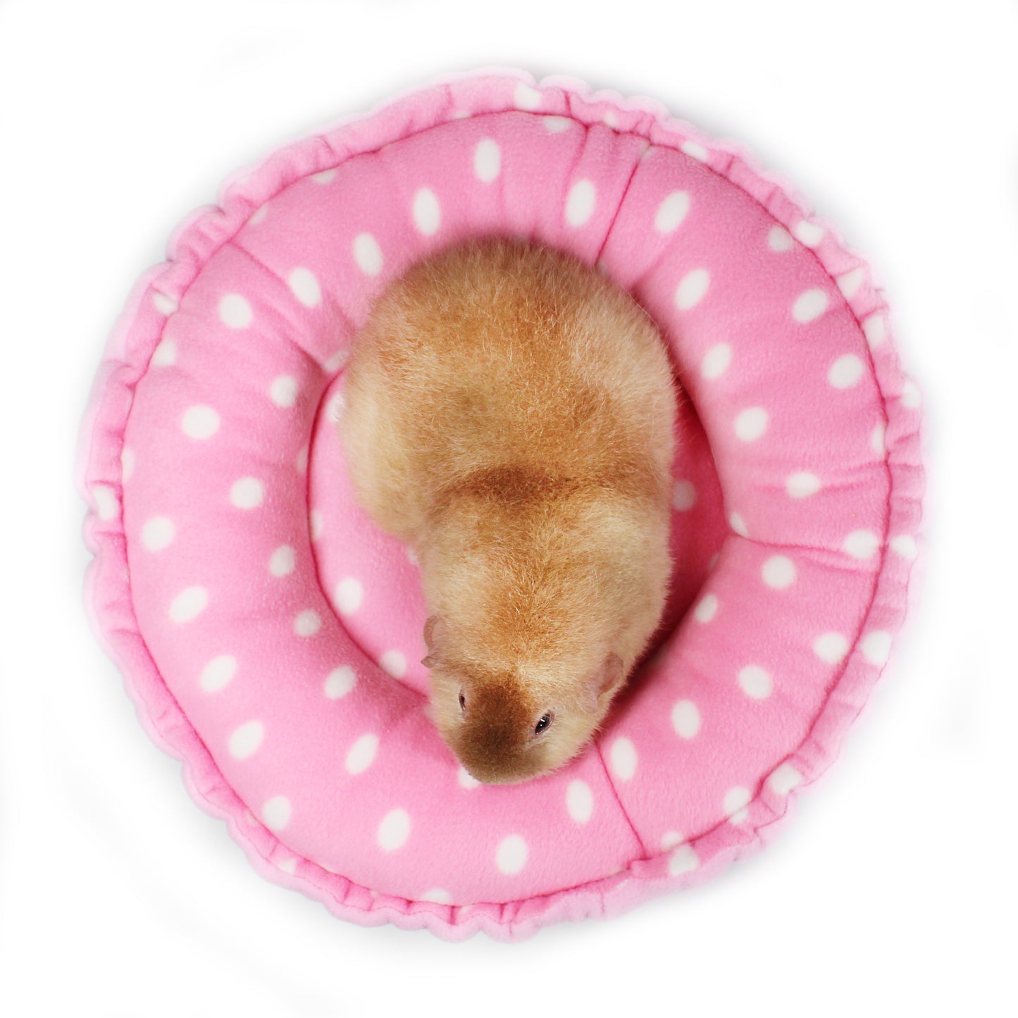 Pink Polka Dot Doughnut Bed for Guinea Pigs