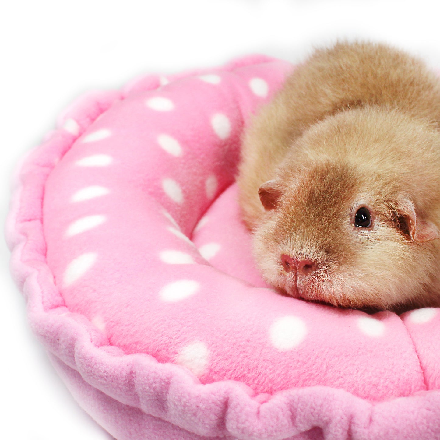 Pink Polka Dot Doughnut Bed for Guinea Pigs