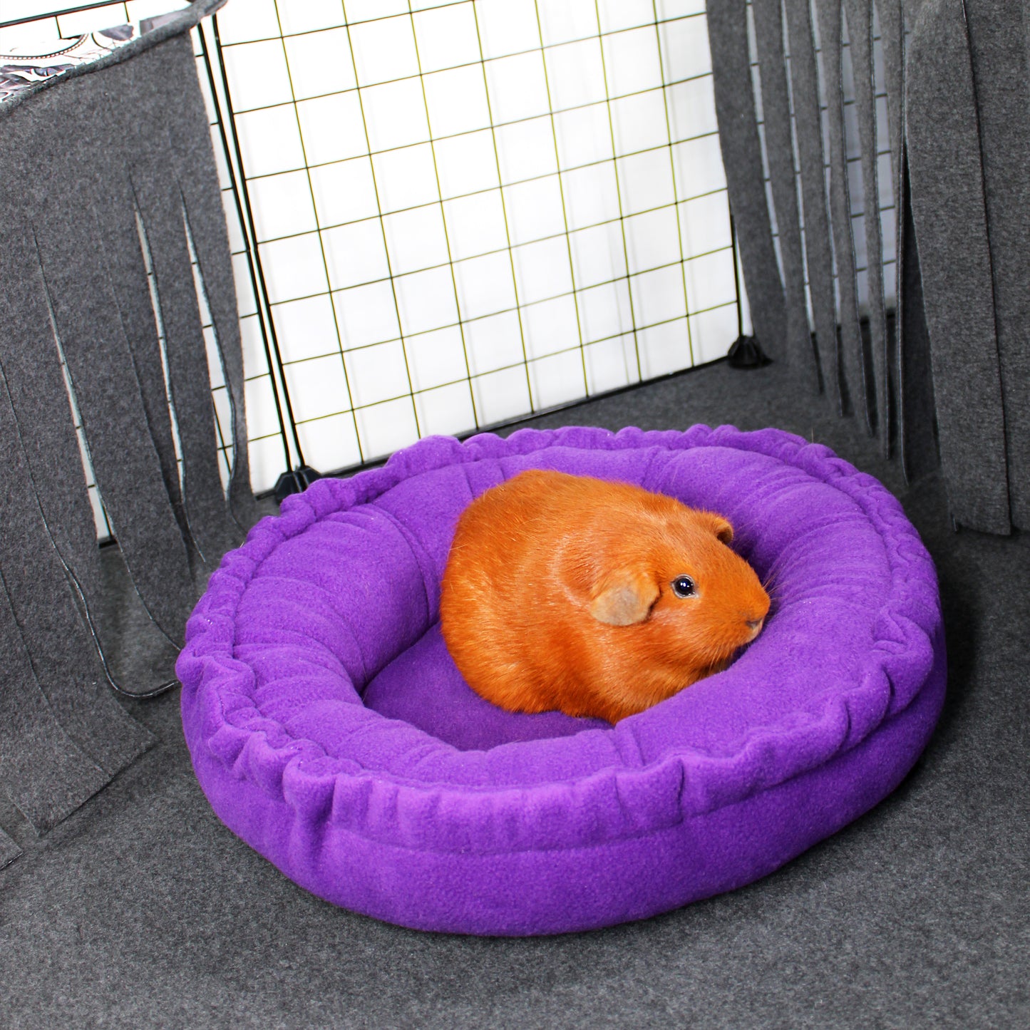 Plain Purple Doughnut Bed
