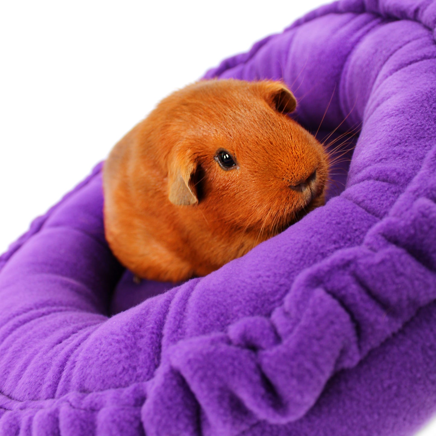 Plain Purple Doughnut Bed
