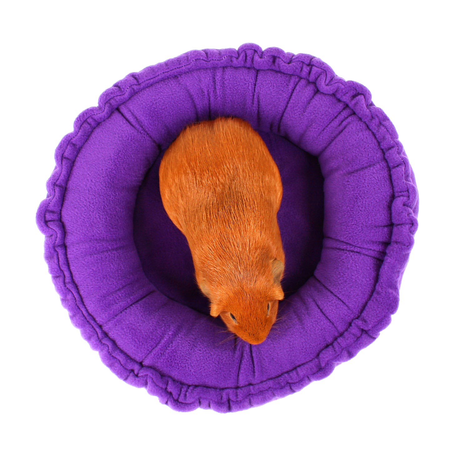 Plain Purple Doughnut Bed