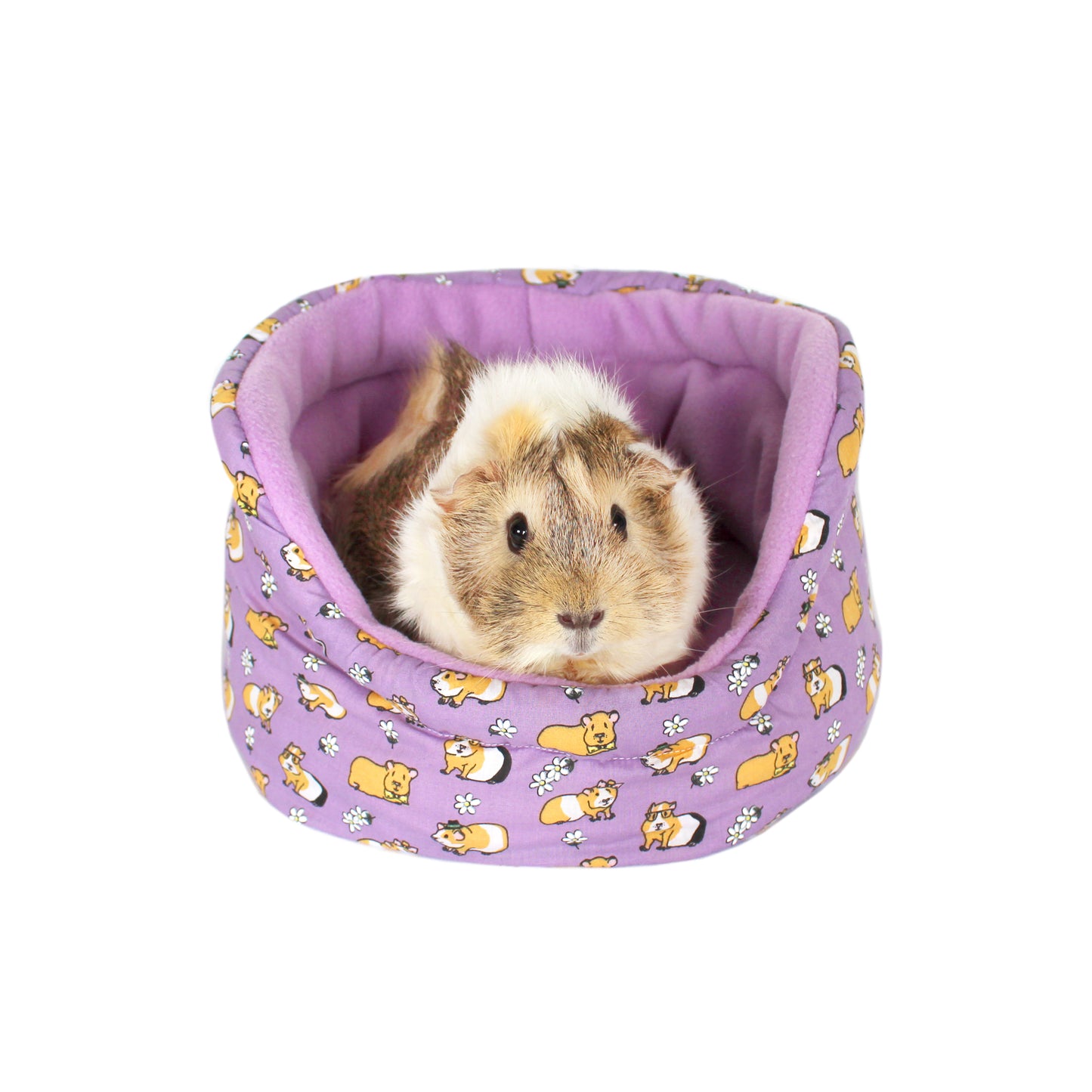 Purple Guinea Pig Pattern Cuddle Cup, elevated front view with guinea pig