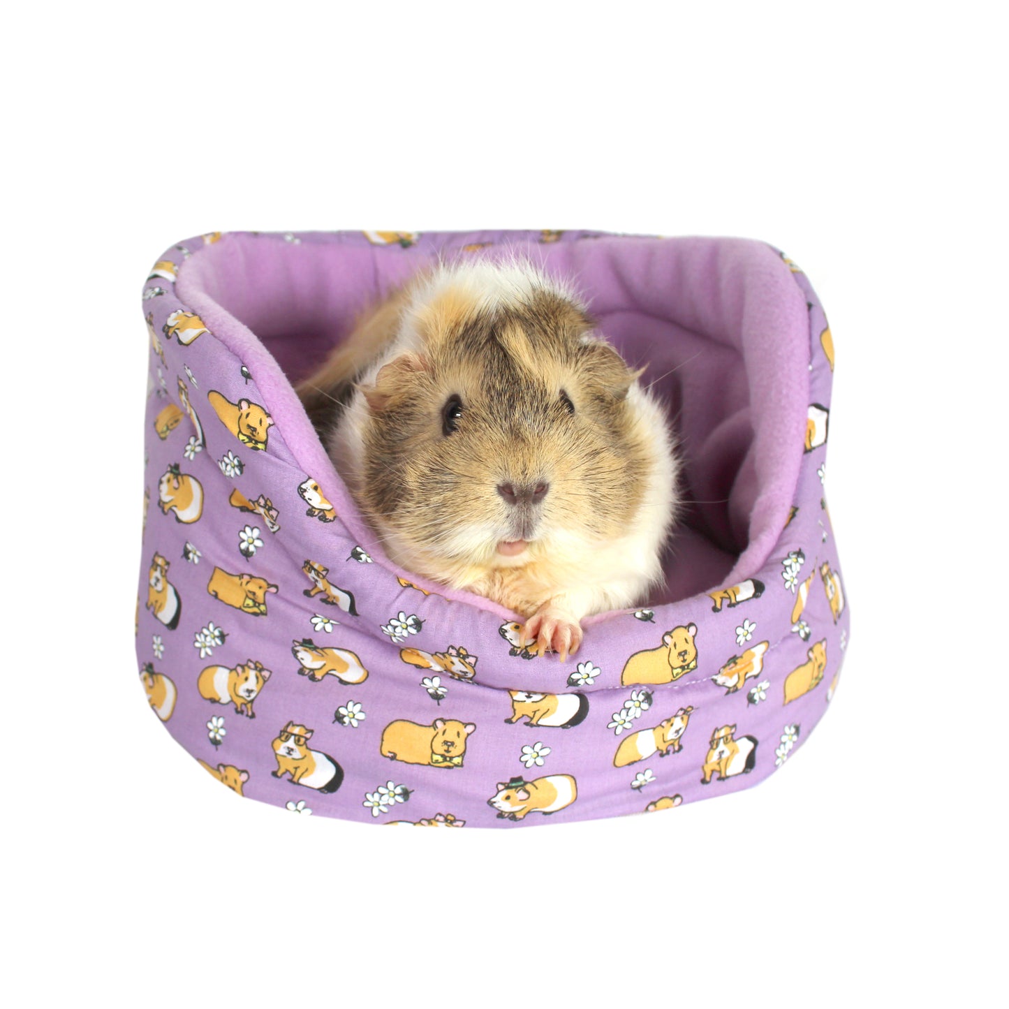 Purple Guinea Pig Pattern Cuddle Cup, front view with guinea pig