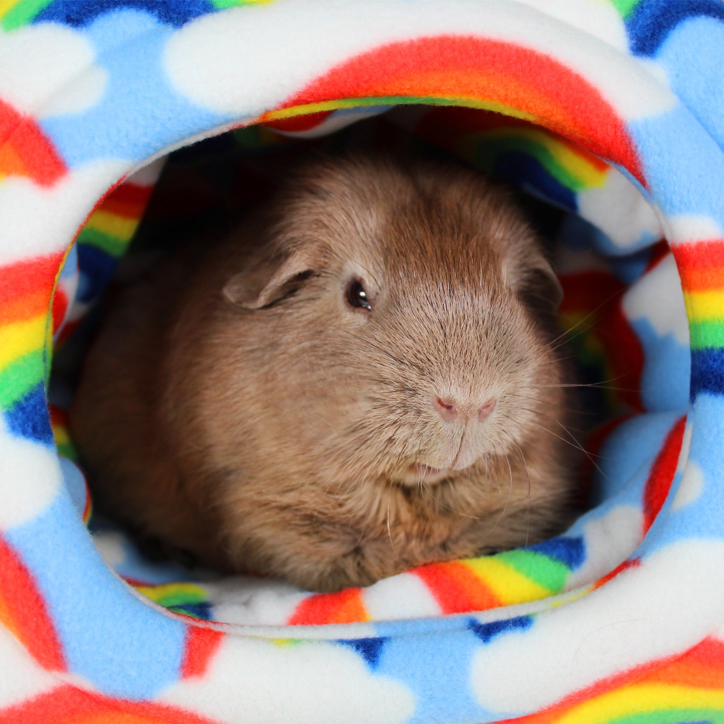Rainbow Fleece Hidey House for Guinea Pigs, close up of the opening with a guinea pig inside