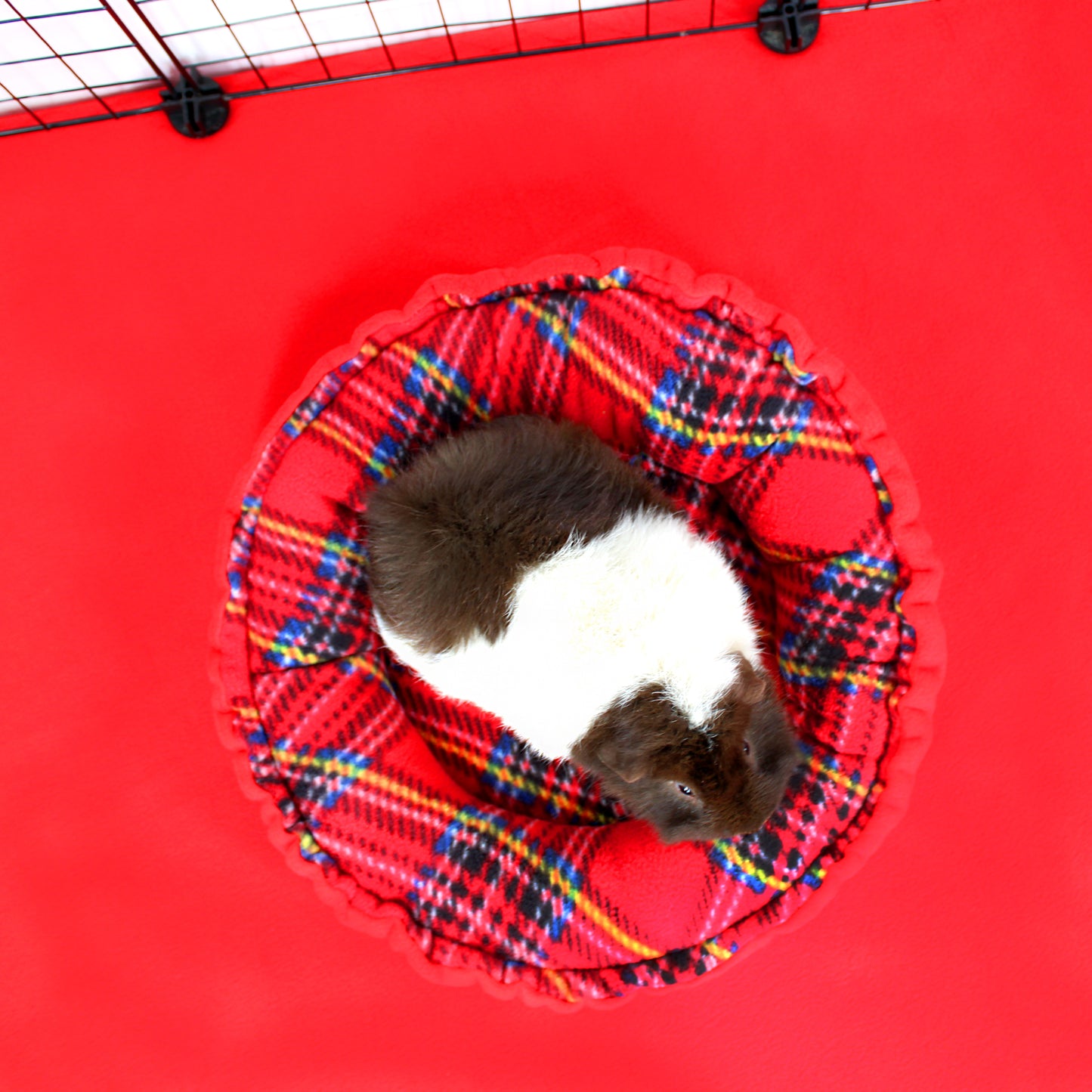 Small animal, likely a guinea pig, lying on a red and multicolored pet bed against a red background.