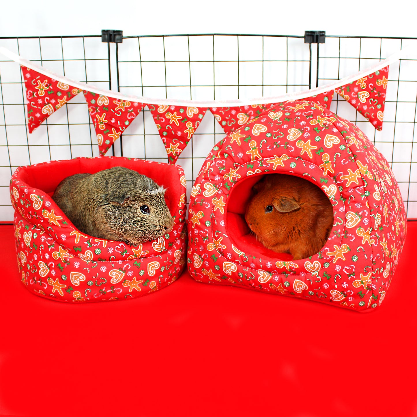 Two guinea pigs in festive red pet houses with gingerbread men pattern on a red background.