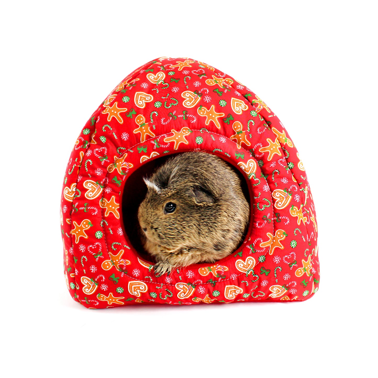 Small animal peeking out from a red patterned pet house on a white background