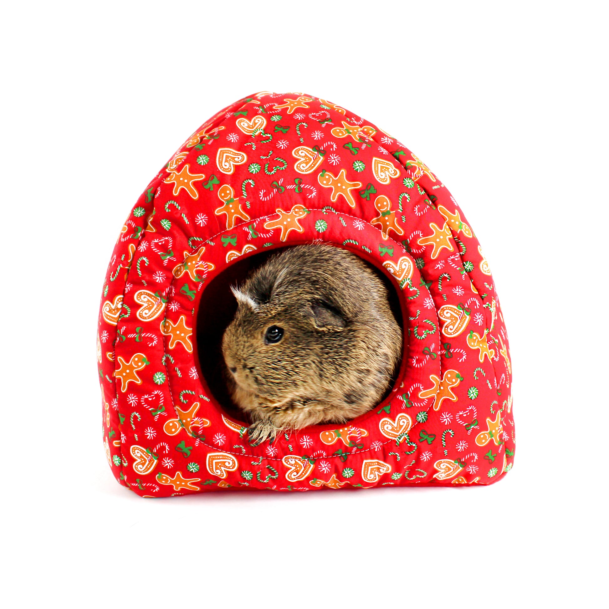 Small animal peeking out from a red patterned pet house on a white background