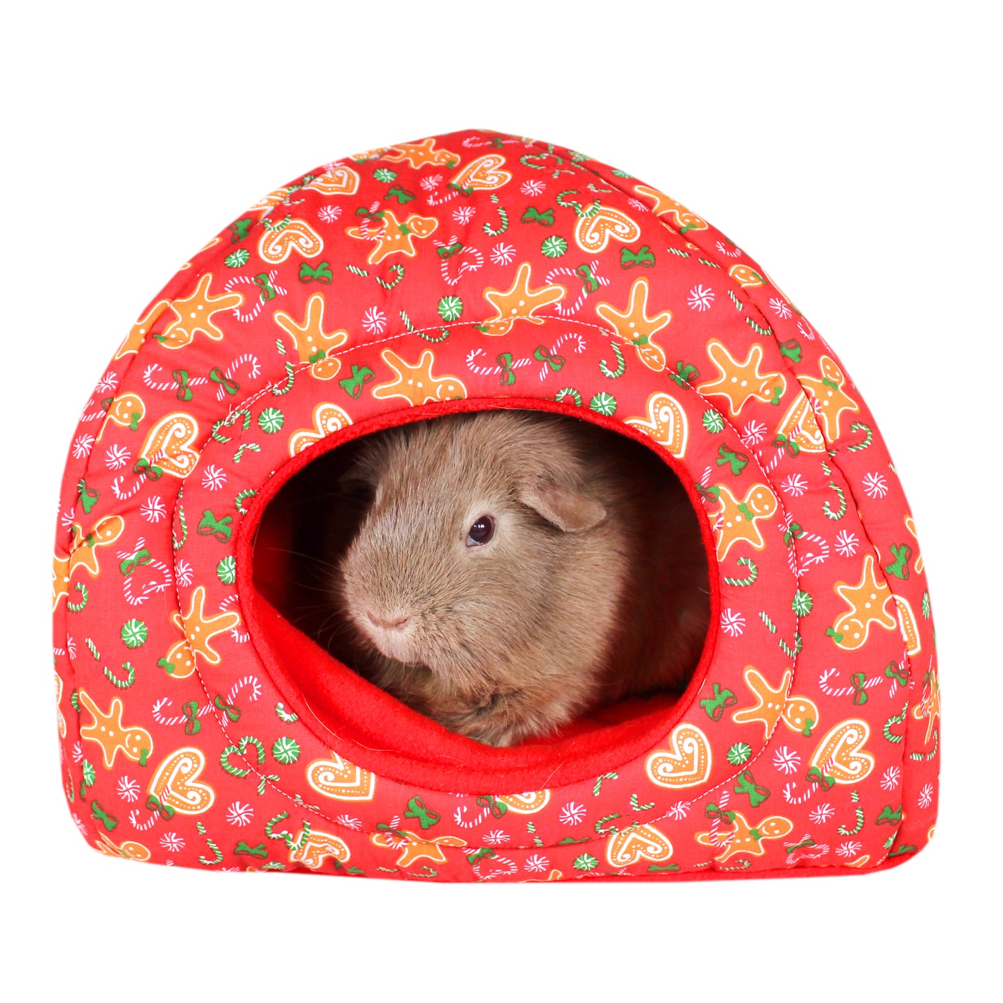 Red Gingerbread Guinea Pig Hidey House, front view with guinea pig