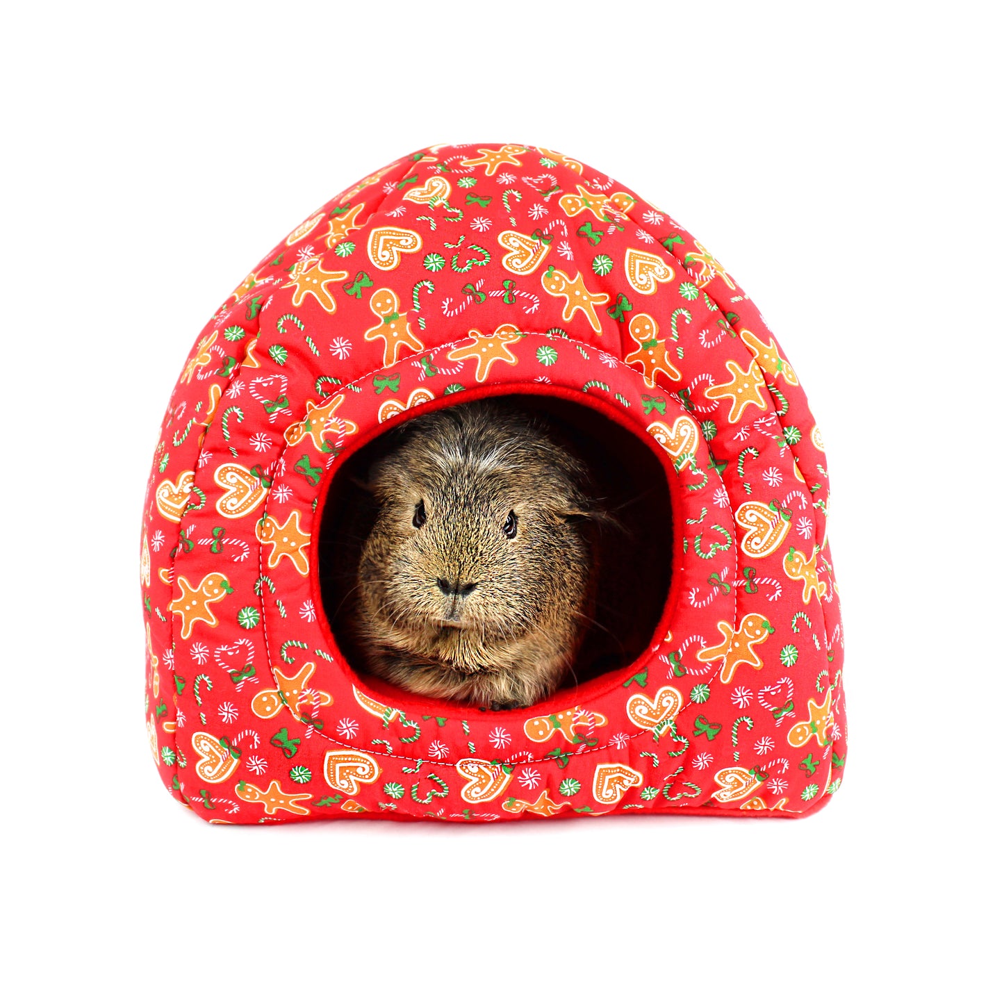 Small animal peeking out from a red festive-patterned pet house on a white background