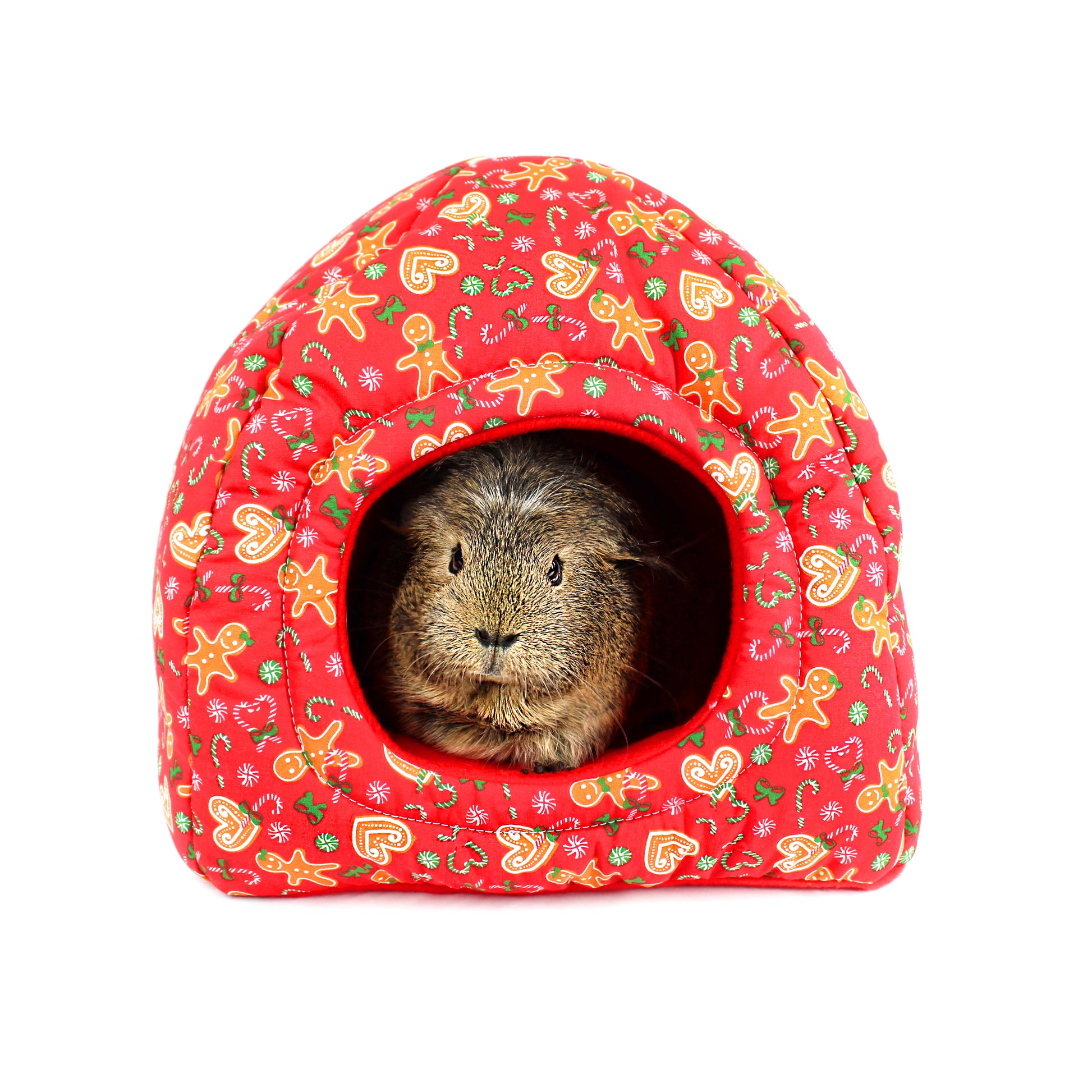 Small animal peeking out from a red festive-patterned pet house on a white background