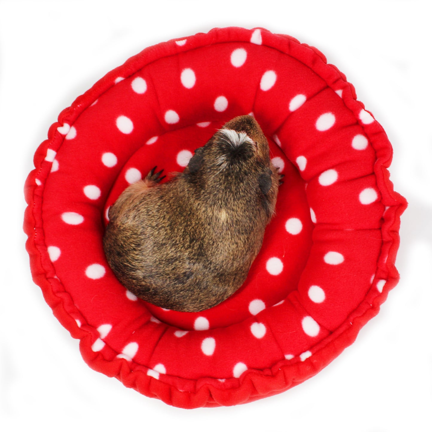 Red Polka Dot Doughnut Beds for Guinea Pigs