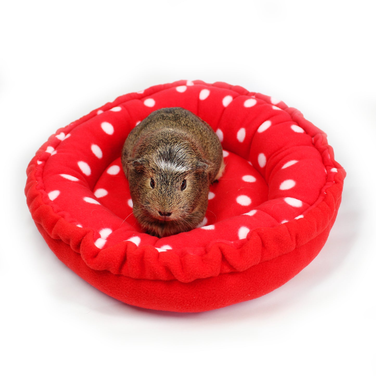 Red Polka Dot Doughnut Beds for Guinea Pigs