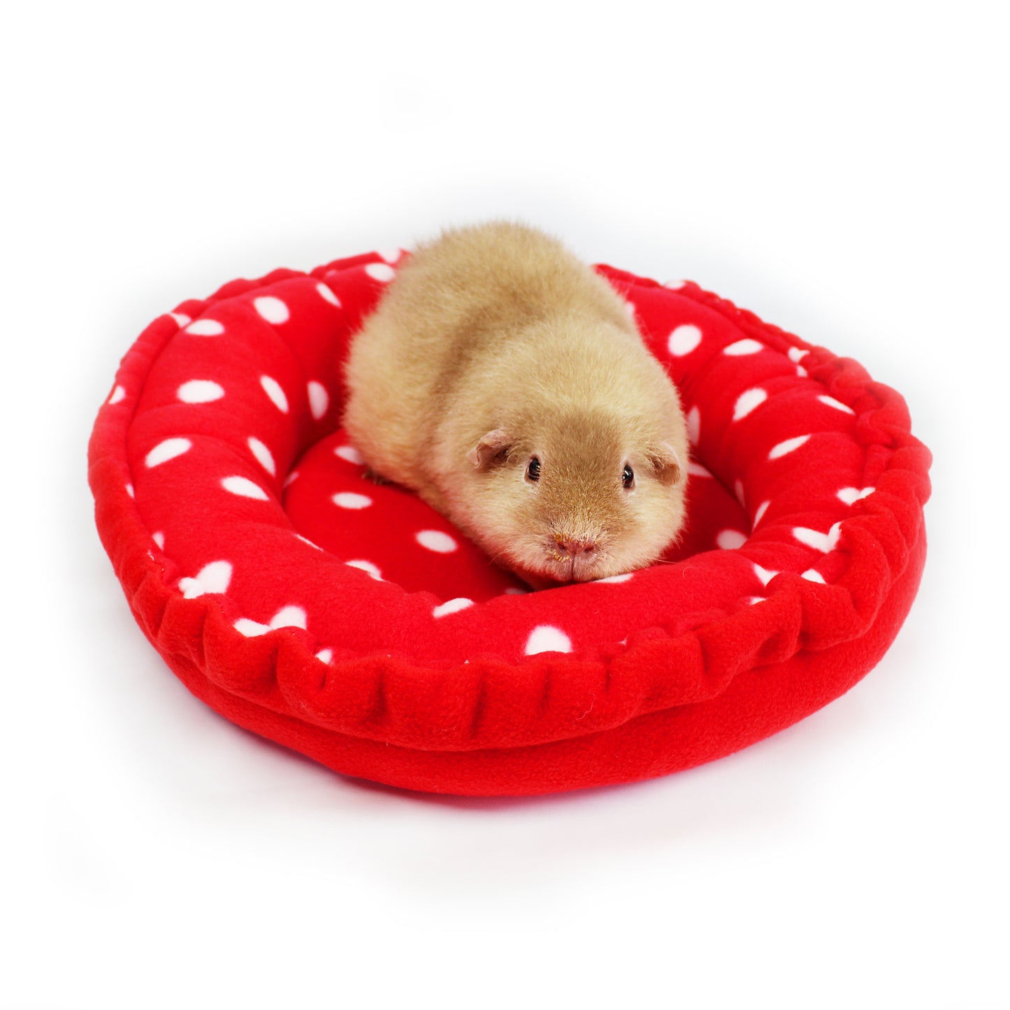 Red Polka Dot Doughnut Beds for Guinea Pigs