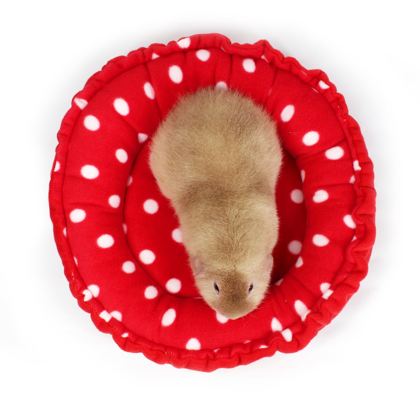 Red Polka Dot Doughnut Beds for Guinea Pigs