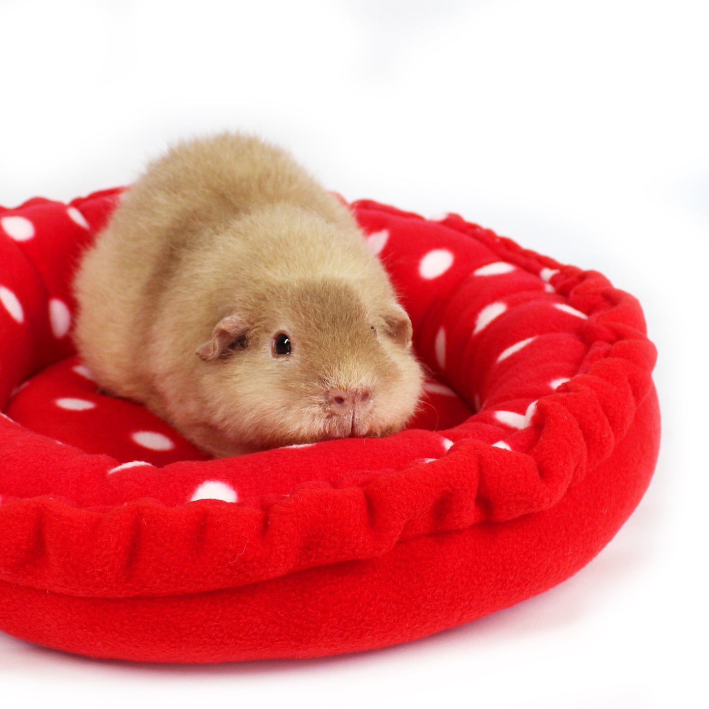 Red Polka Dot Doughnut Beds for Guinea Pigs