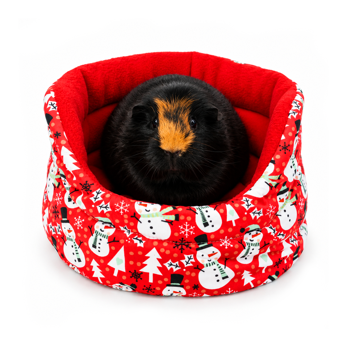 Olive the guinea pig sitting in a red Christmas cuddle cup with a snowman print cotton outer and soft red fleece lining