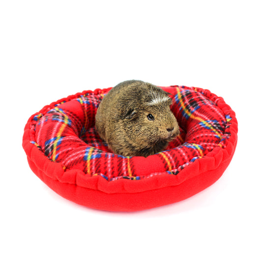 Small animal, likely a guinea pig, in a red and multicolored pet bed on a white background