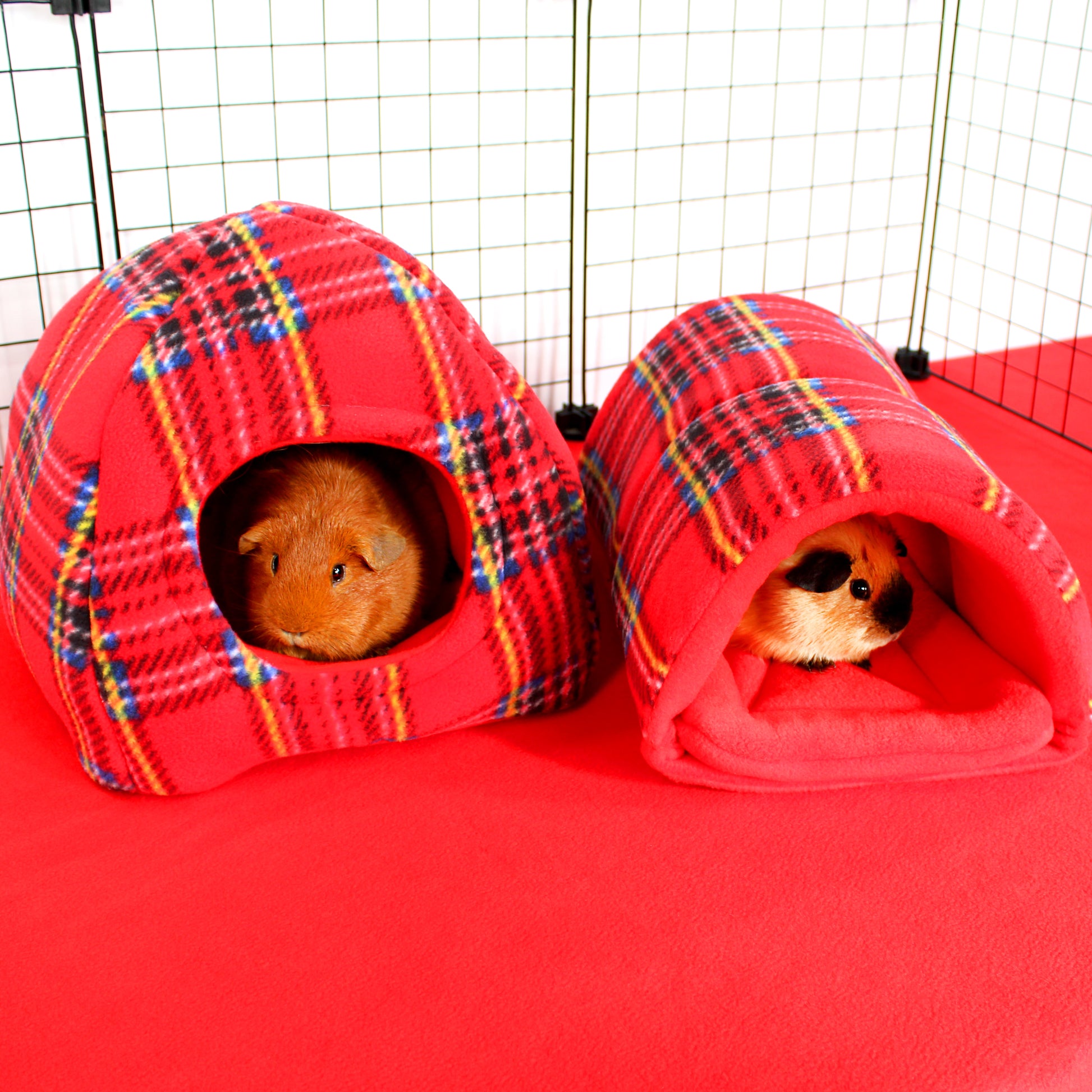 Two small animals in red plaid pet houses on a red surface.