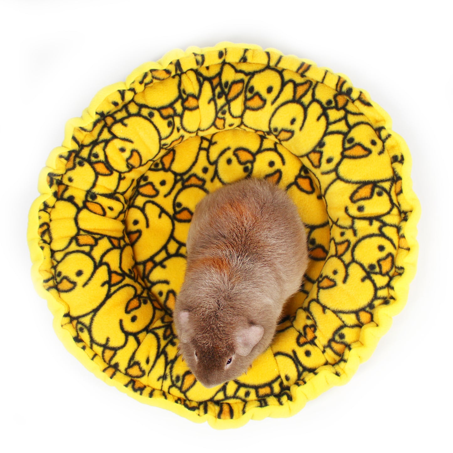 Rubber Ducky Doughnut Bed