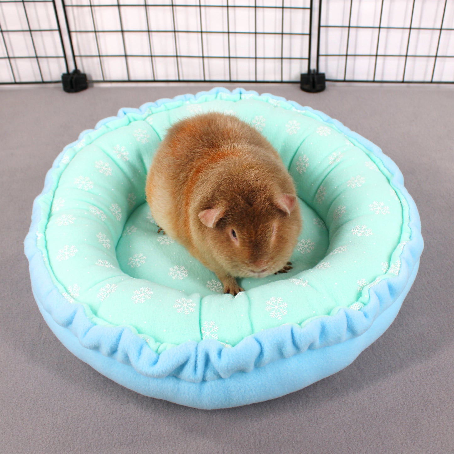 Mint Frost Snowflake Doughnut Bed for Guinea Pigs