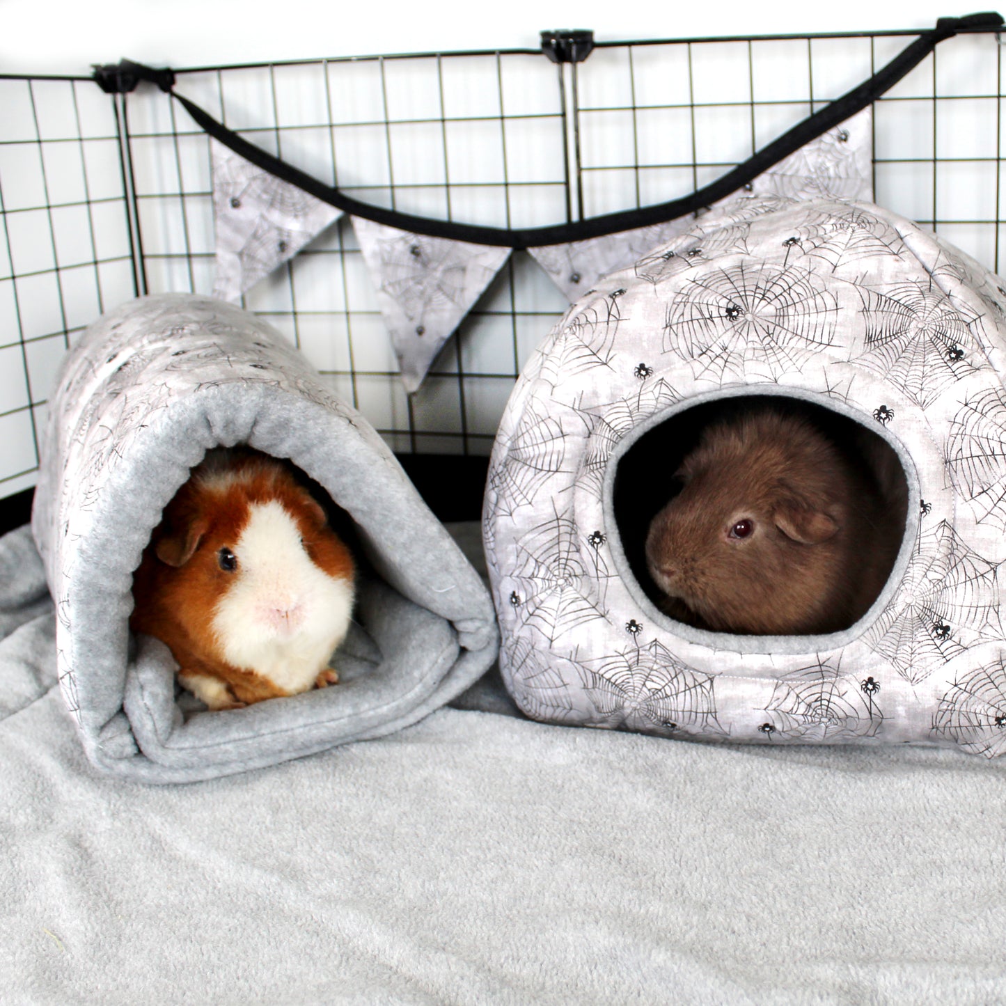 Spider and web fleece guinea pig accessories, Squish tunnel and Hidey house in a cage with guinea pigs snuggled inside
