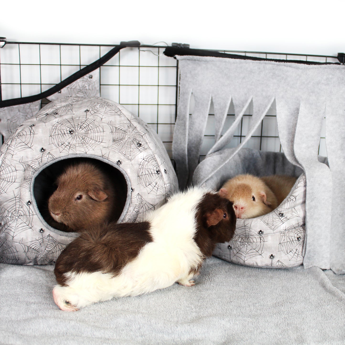 Grey and Black Corner Fleece Forest, 3 piggies enjoying the fleece accessories in their cage