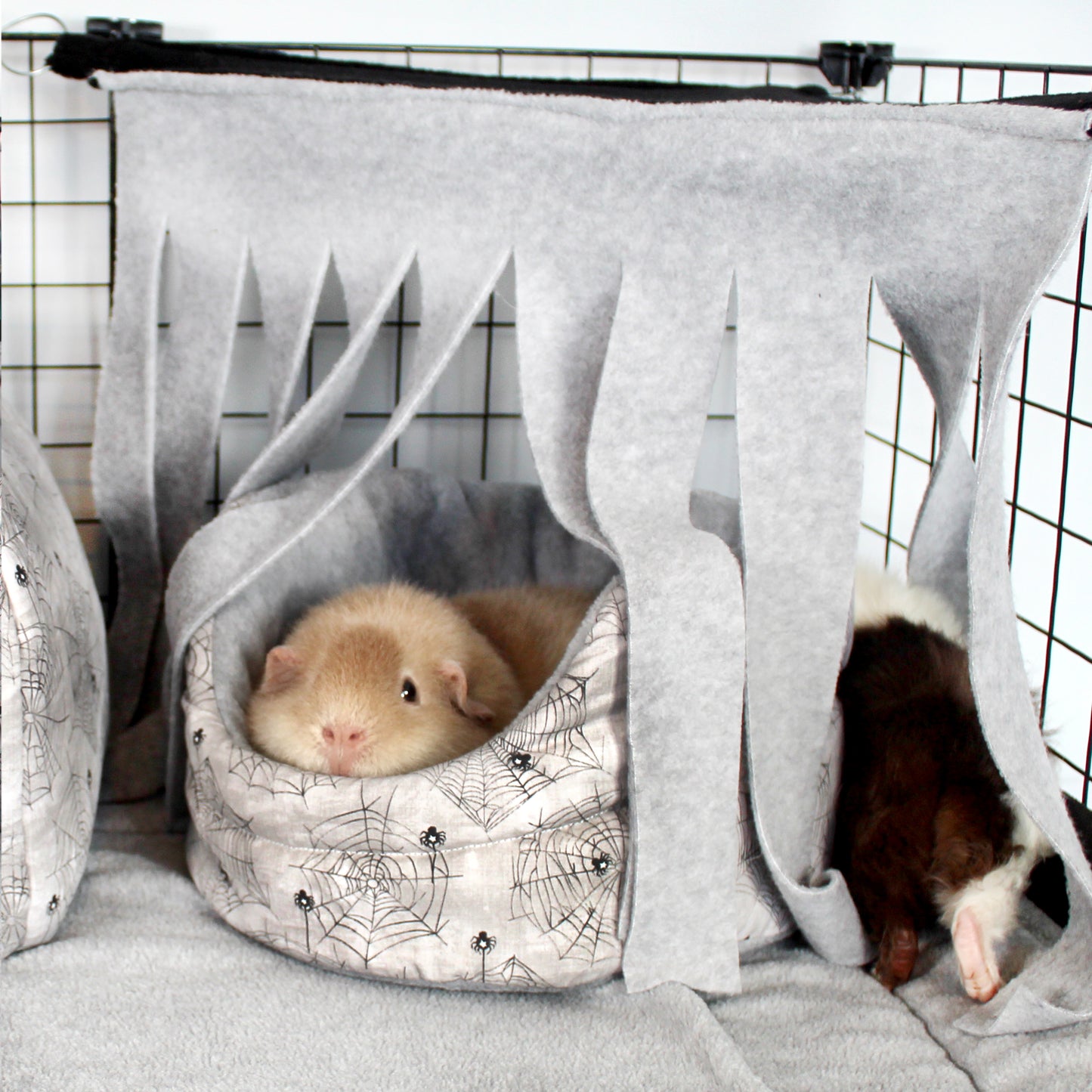Guinea Pig Spider Bed and Fleece Forest, happy guinea inside the cuddle cup with the corner curtain hammock over it to create a cosy hiding spot