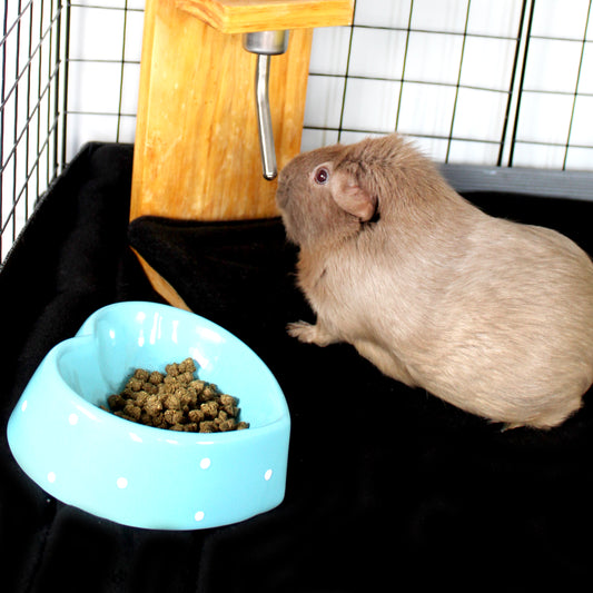 Pair Of Black Water Bottle Drop Pads, under a water bottle with a guinea pig drinking