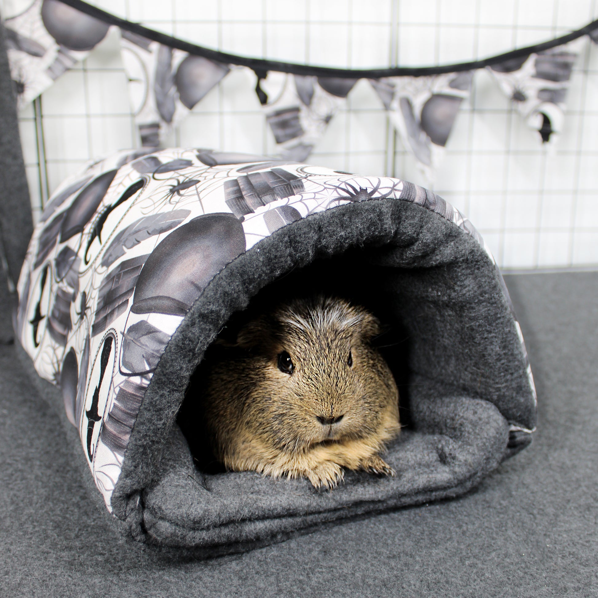 Guinea pig peeking out from a gray fabric tunnel with a spider web pattern.
