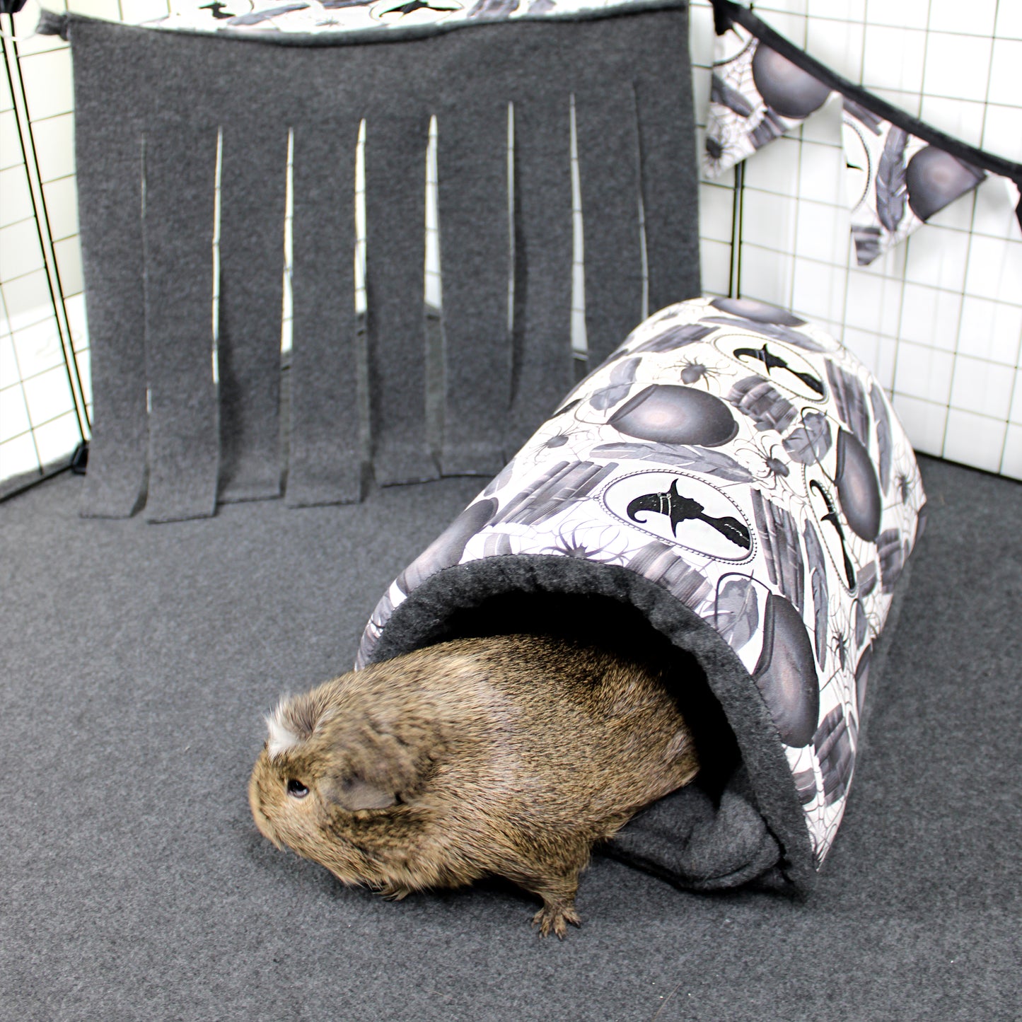 Guinea pig peeking out from a patterned tunnel in a pet enclosure.