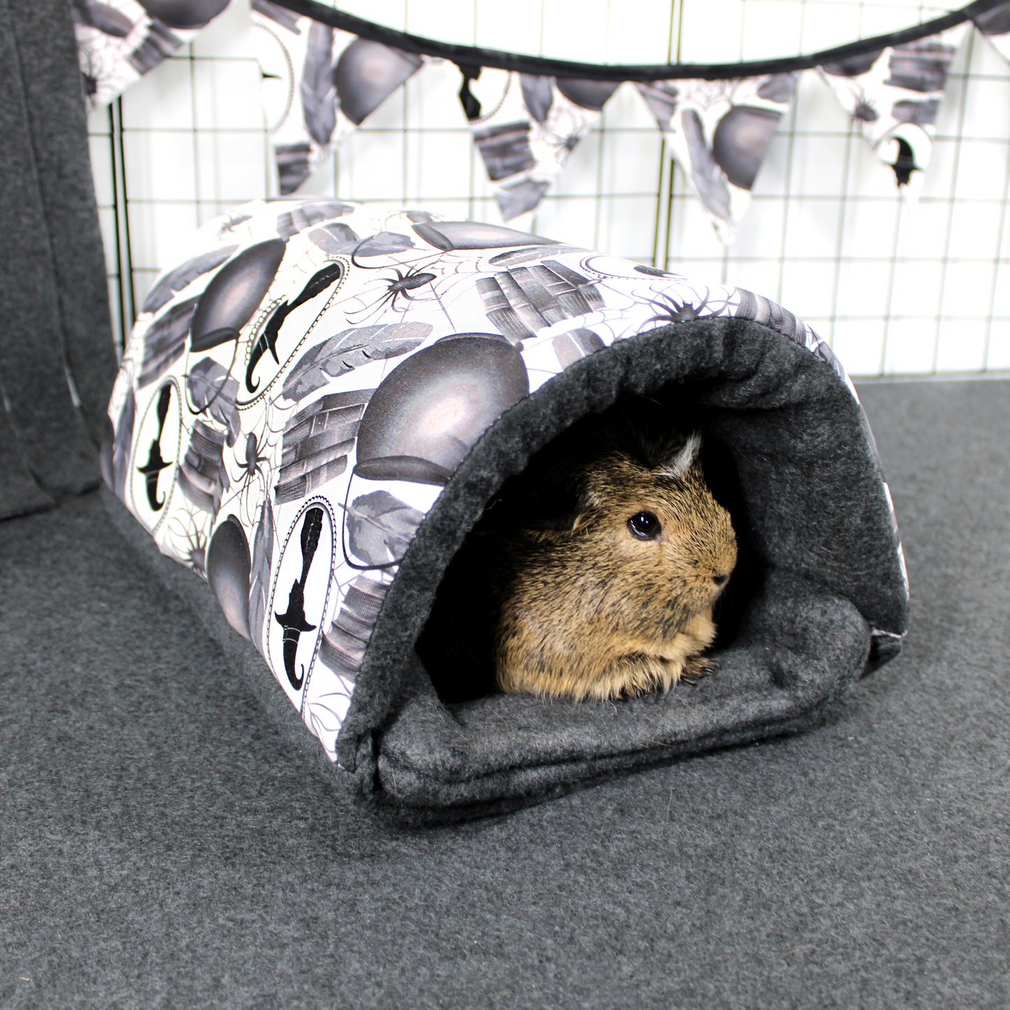 Small animal peeking out from a tunnel with a black and white patterned cover