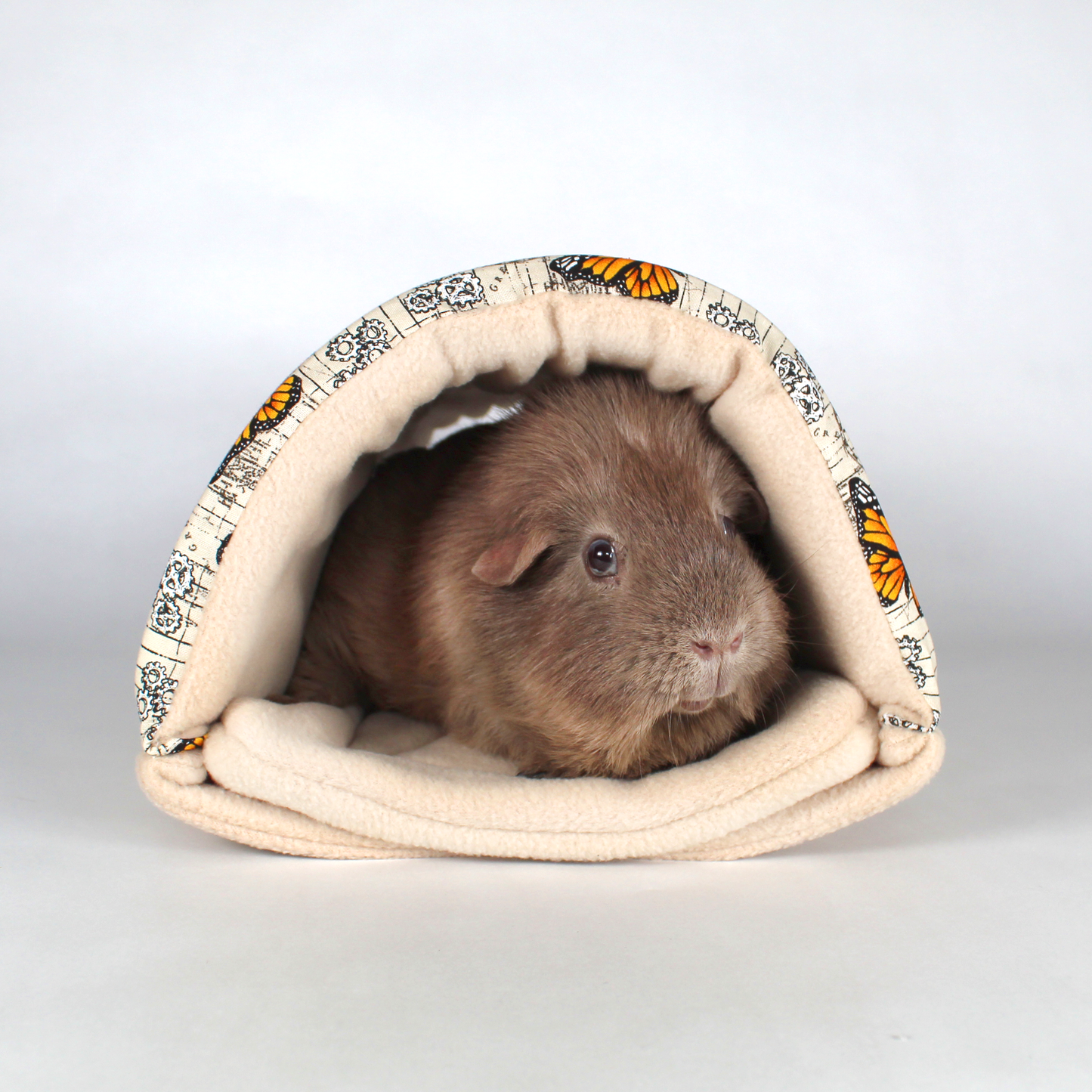 Steampunk Butterfly Squish Tunnel, front view guinea inside the snuggle tunnel