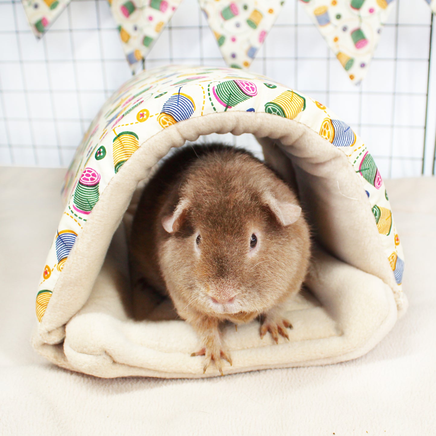 Sew Sweet Guinea Pig Accessory Bundle