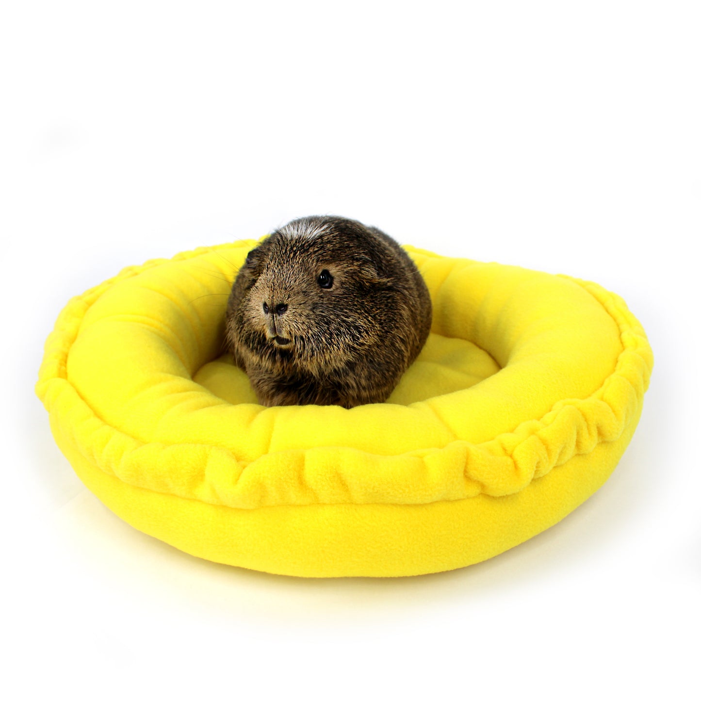 Small animal in a yellow pet bed on a white background