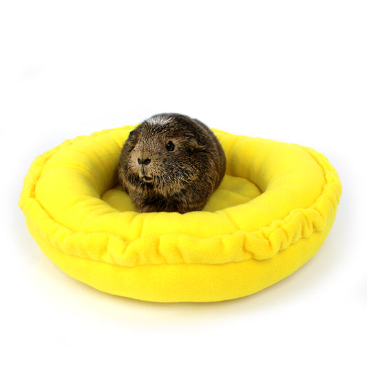 Small animal in a yellow pet bed on a white background