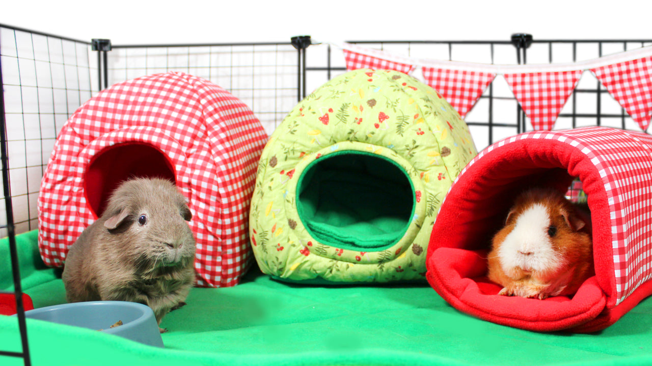 Green Mushroom Hidey Hut For Guinea Pigs