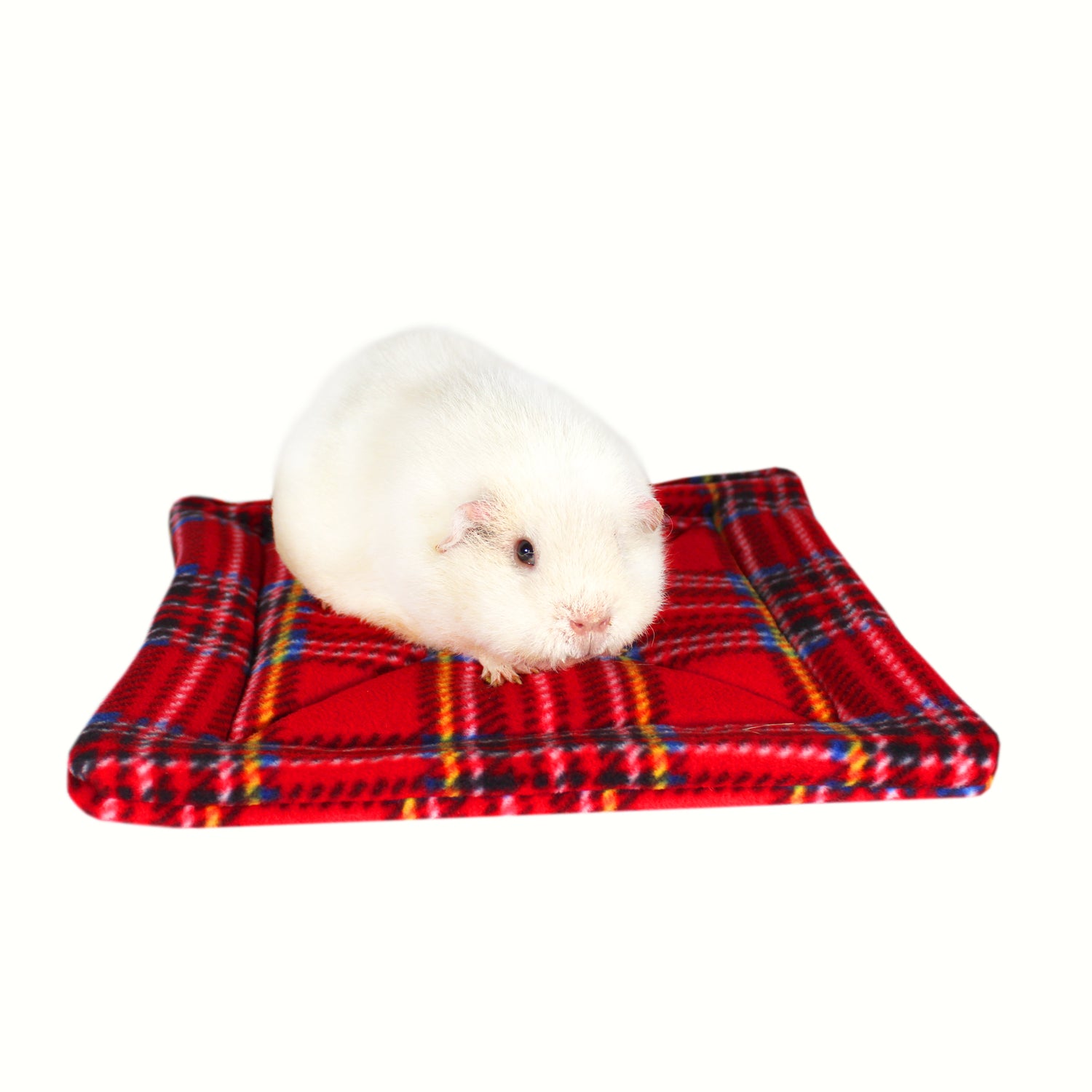 Large Square Guinea Pig Pee Pads